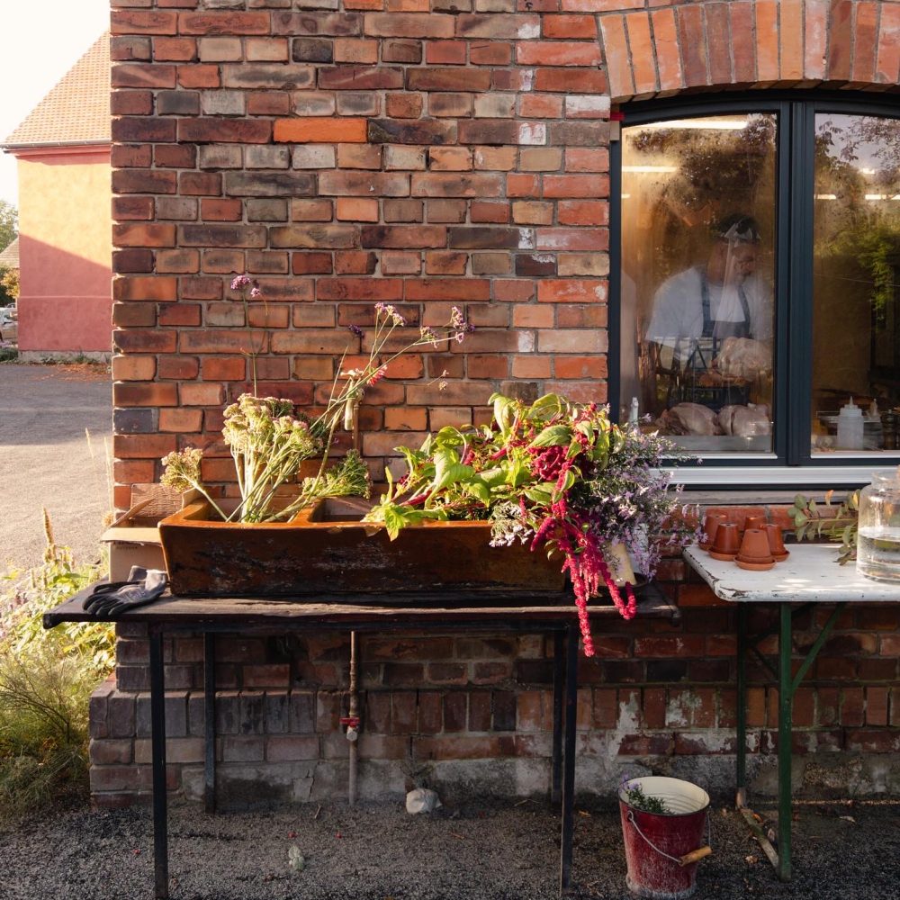 Michelberger Farm Spreewald