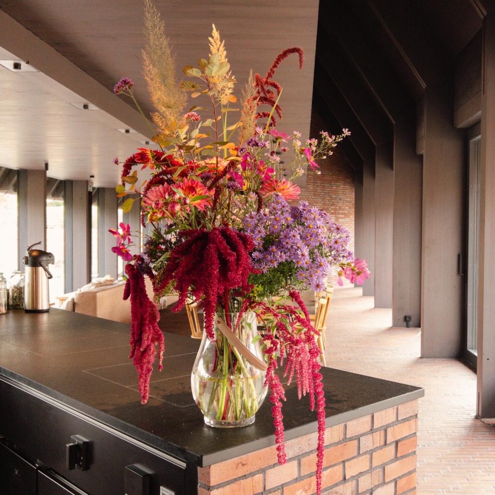 Michelberger Farm Spreewald