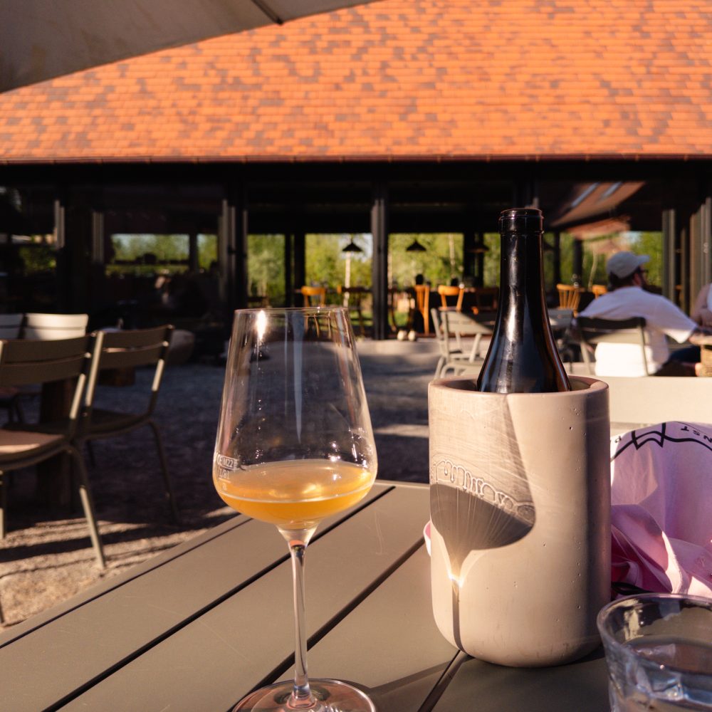 Naturwein Michelberger Farm