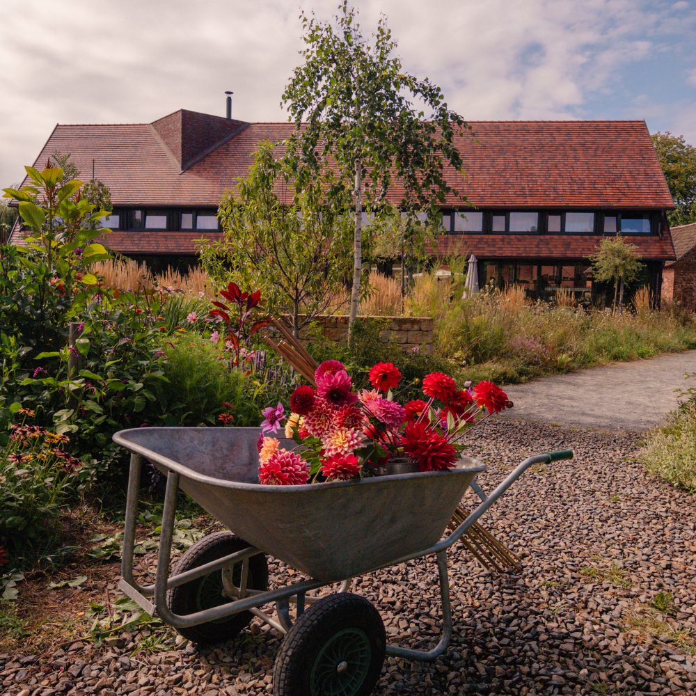 Gebäude Garten Michelberger Farm