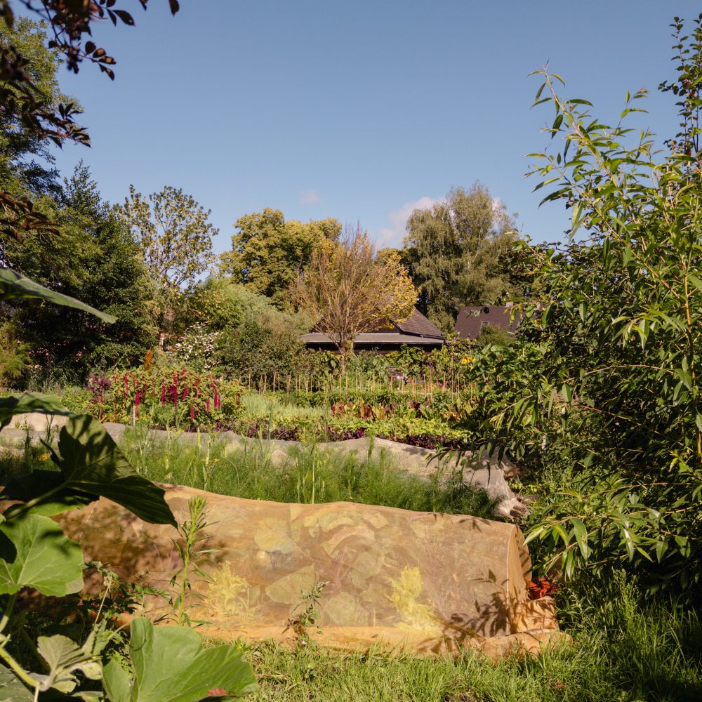 Marketgarden Spreewald