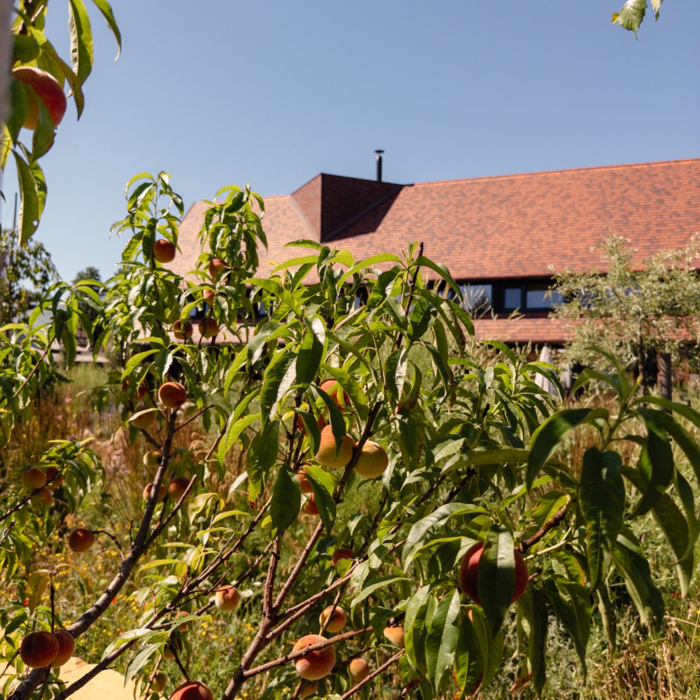 Michelberger Farm Garten