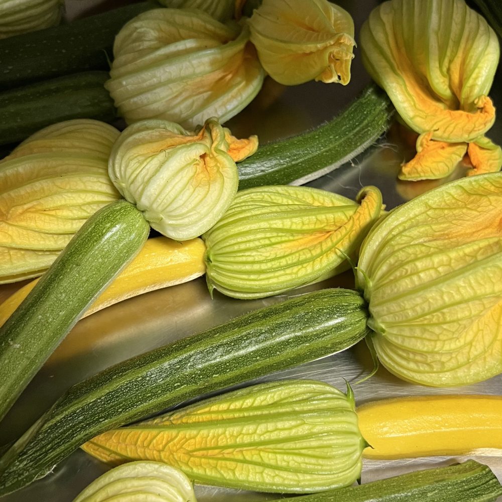Zucchiniblüten