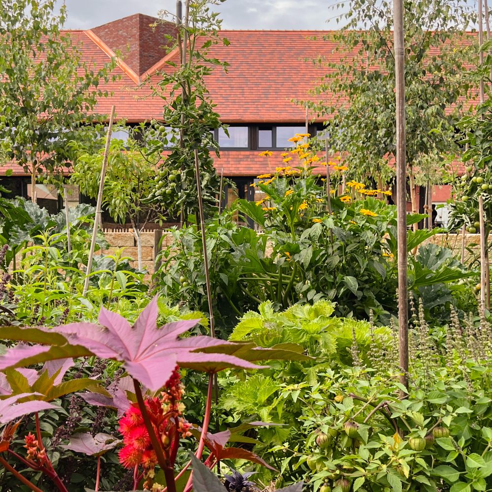 Farmhaus hinter Waldgarten