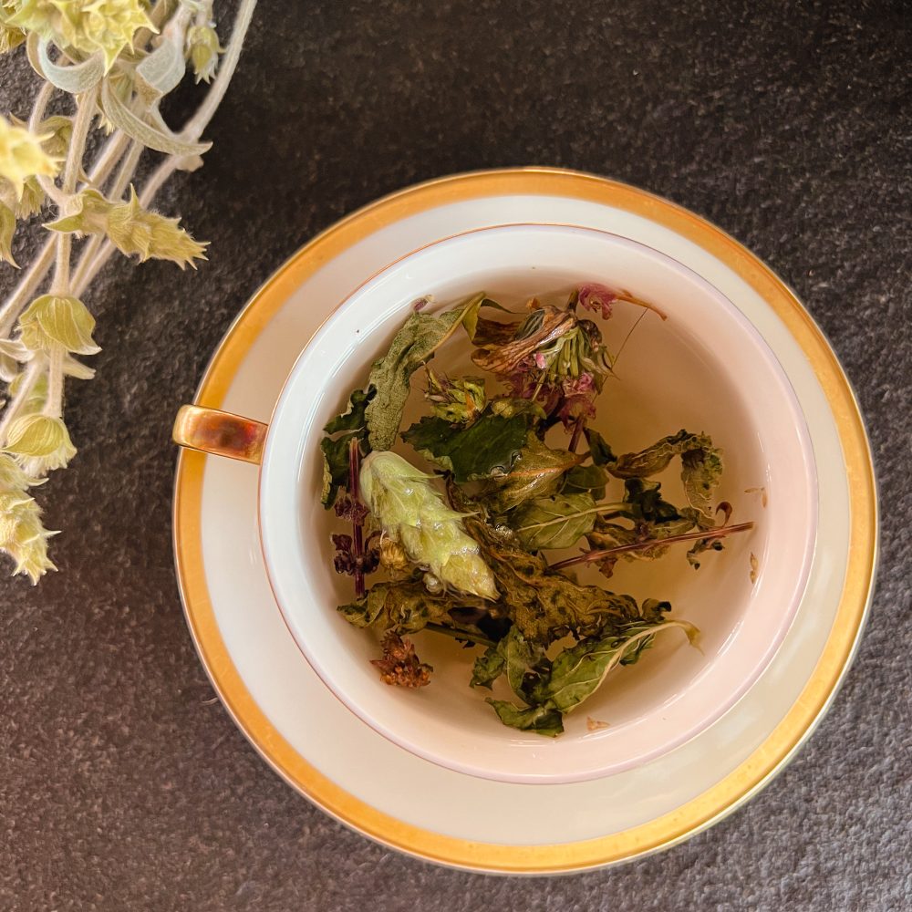 Teetasse mit frischen Kräutern