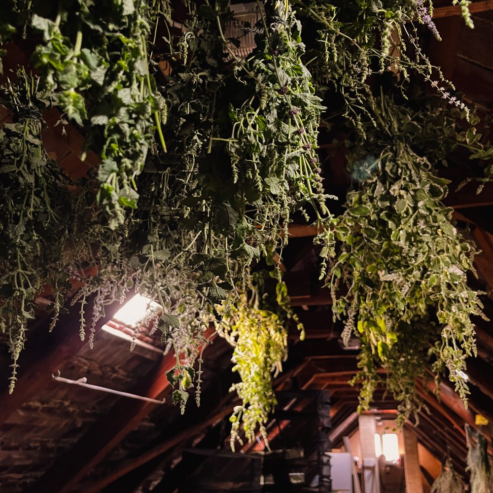 Kräuter trocknen Dachboden