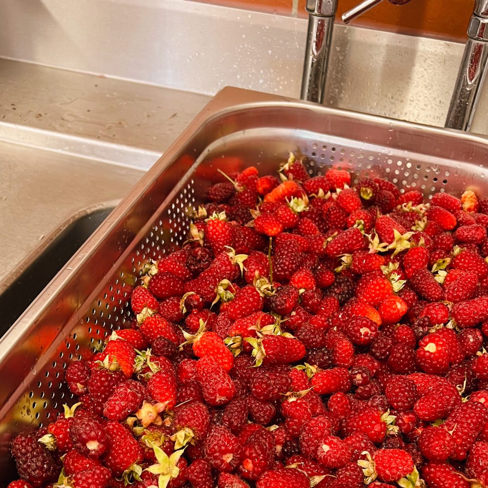 Tayberry in der Küche